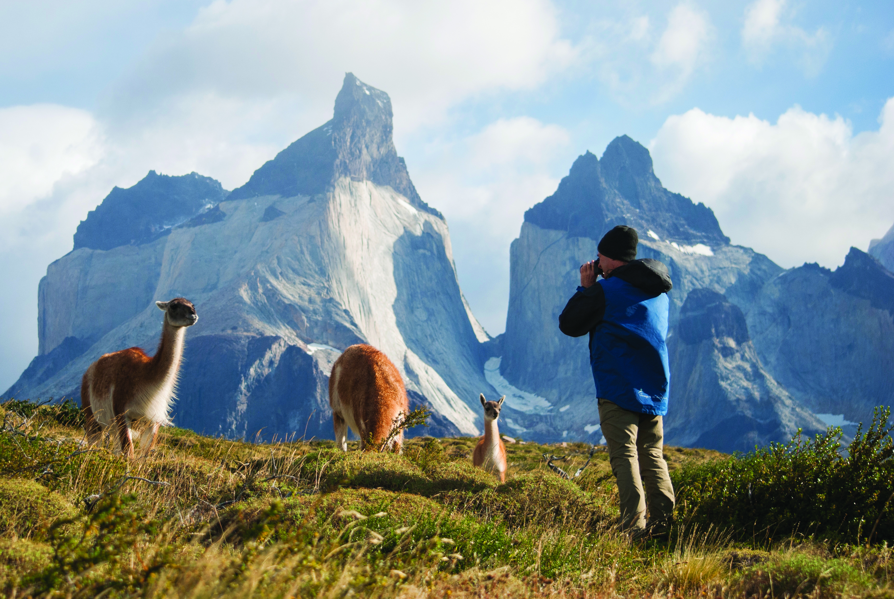 Passenger and Guanaco, Paine Horns, Torres del Paine National Park, Chile; Lelia Cataldi Passenger and Guanaco, Paine Horns, Torres del Paine National Park, Chile; Lelia Cataldi