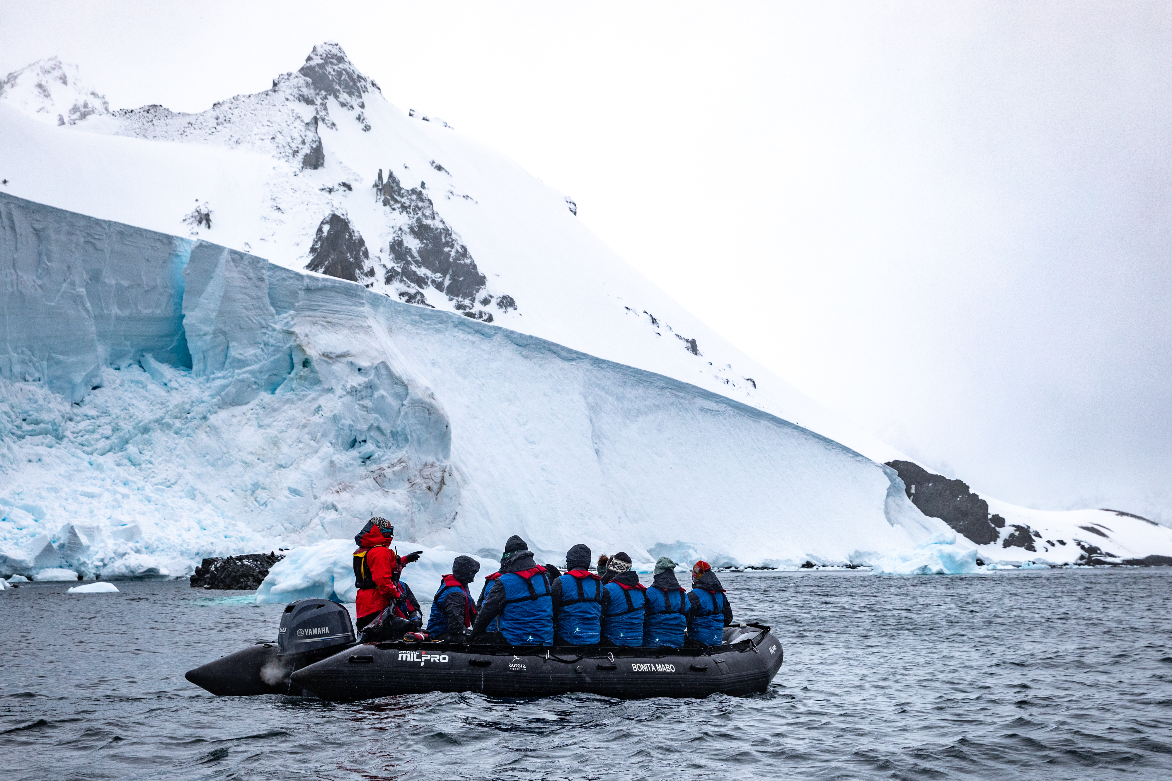 Zodiac Cruising, Orne Harbour, Antarctica, Pia Harboure Zodiac Cruising, Orne Harbour, Antarctica, Pia Harboure