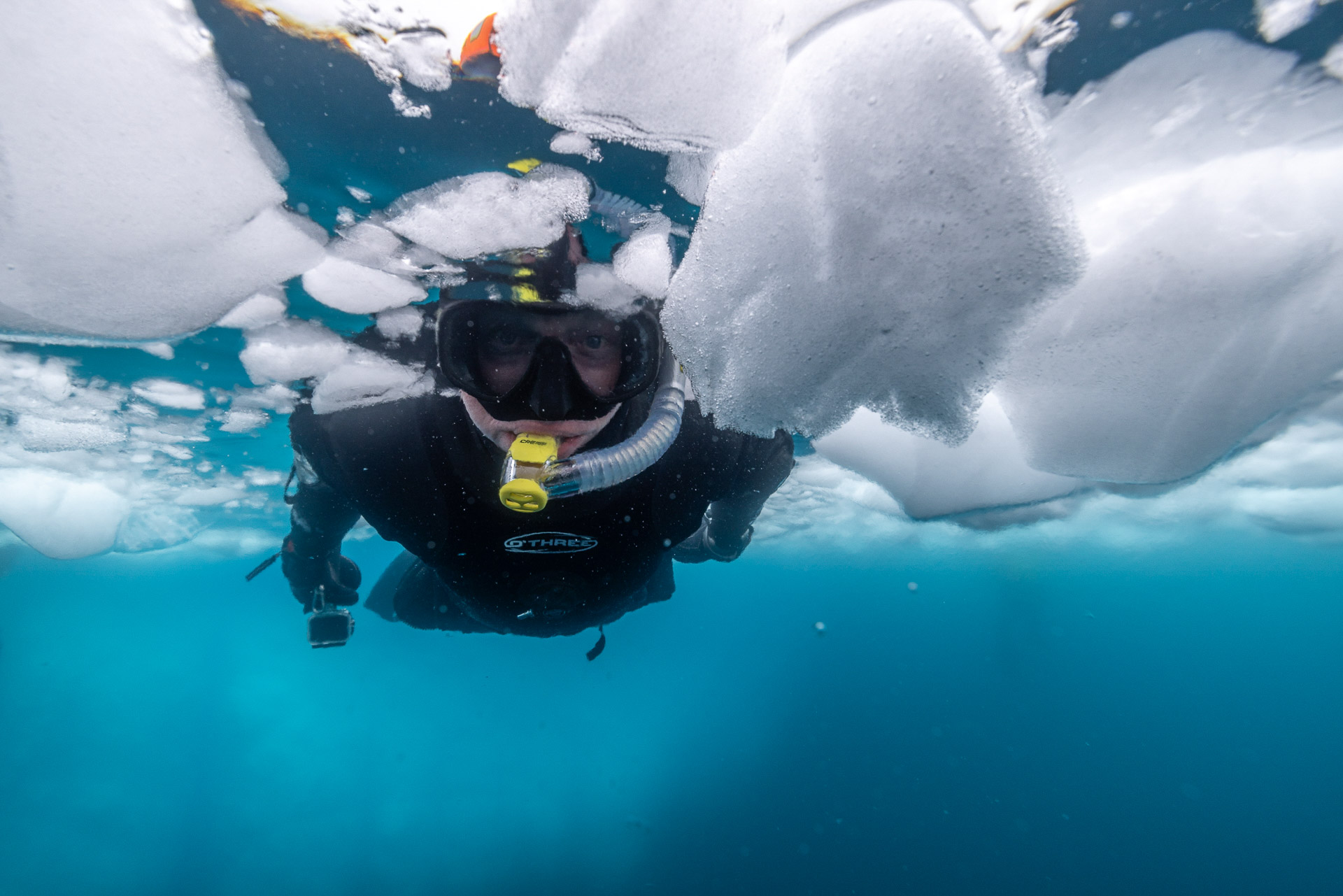 Snorkelling at Portal Point, Antarctica, Scott Portelli Snorkelling at Portal Point, Antarctica, Scott Portelli