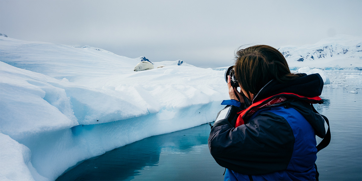 Photographing Seal, Paradise Harbour, Antarctica, Matt Horspool Photographing Seal, Paradise Harbour, Antarctica, Matt Horspool