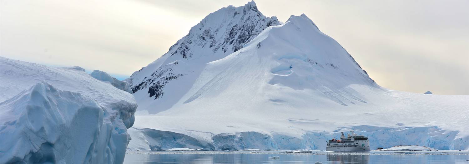 Cruise & Expedition Deals 2024 Antarctica, Arctic & Beyond